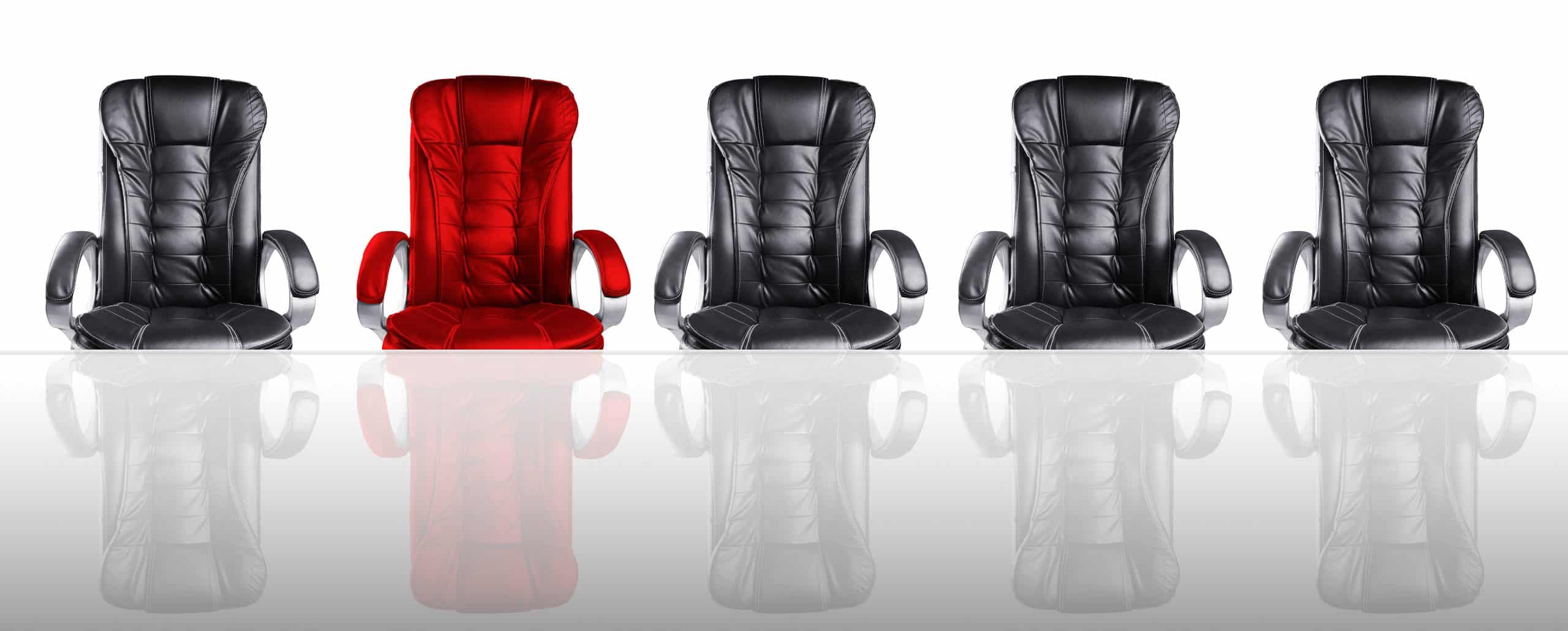 Selection of Directors for Limited Liability Companies in Turkey (2024)