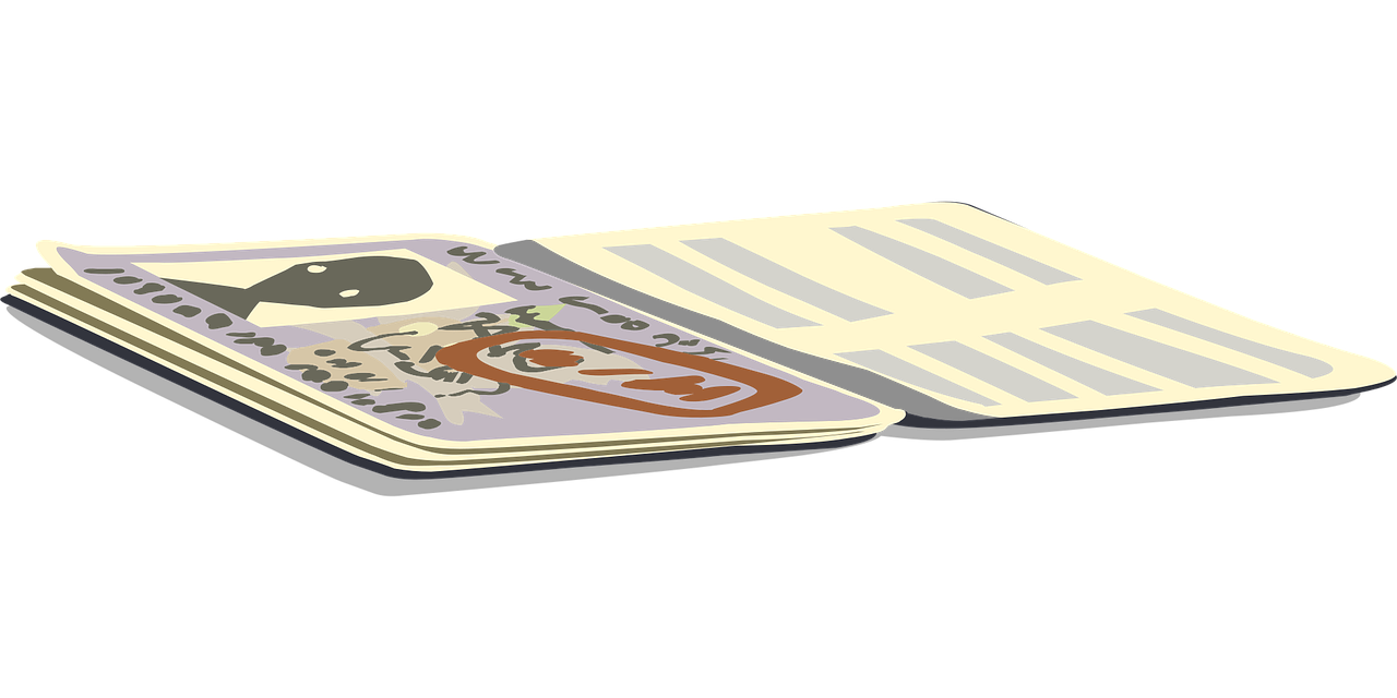 vatandaşlık dolandırıcılığı