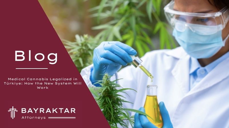 Medical cannabis plant and laboratory setting representing regulated pharmaceutical cannabis products approved for pharmacy sale in Türkiye