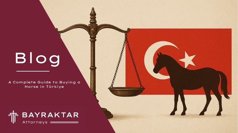 ["A silhouette of a horse stands beside a scale of justice and the Turkish flag, symbolizing legal guidance for horse purchases in Türkiye.         Ask ChatGPT"]