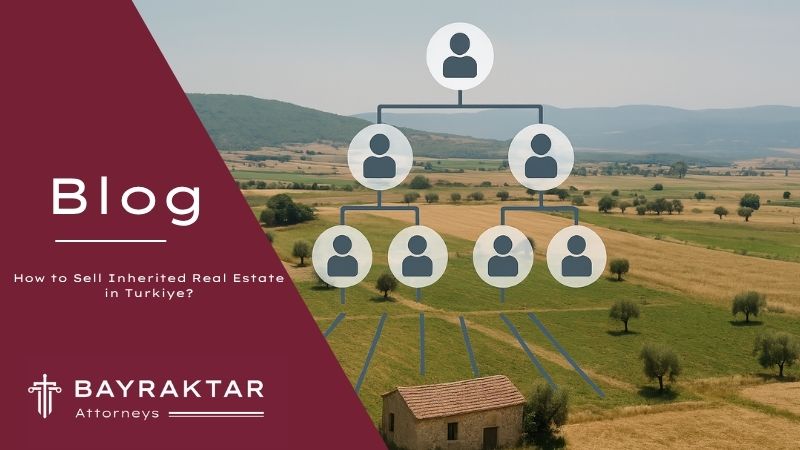 A rural land in Türkiye visually divided into seven parts with a superimposed family tree showing inheritance shares