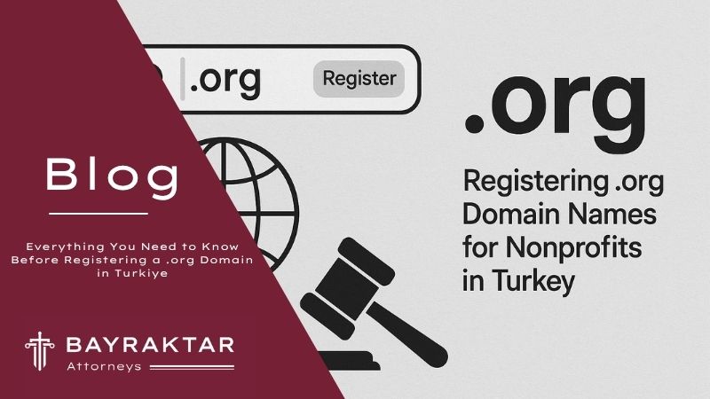 ["A digital vector illustration for promoting .org domain names with a clean and modern aesthetic, suitable for adding burgundy branding elements later"]