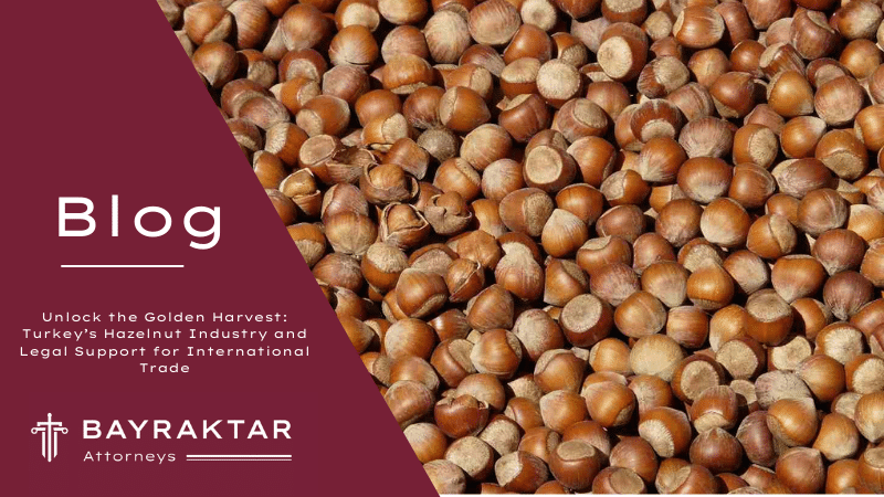 Unlock the Golden Harvest: Turkey&#8217;s Hazelnut Industry and Legal Support for International Trade