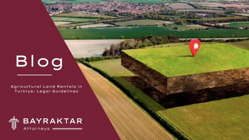 Agricultural Land Rentals in Turkiye: Legal Guidelines