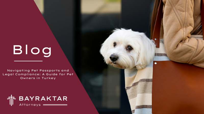 Navigating Pet Passports and Legal Compliance: A Guide for Pet Owners in Turkey